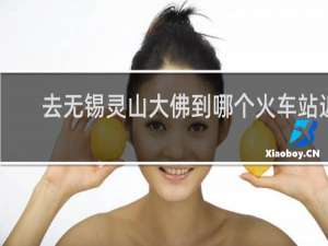 去无锡灵山大佛到哪个火车站近
