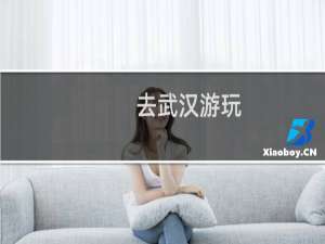 去武汉游玩
