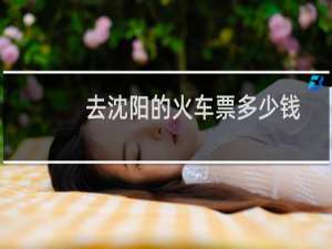 去沈阳的火车票多少钱