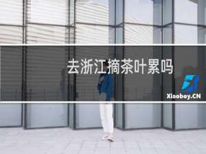 去浙江摘茶叶累吗