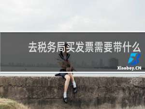 去税务局买发票需要带什么