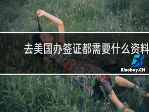 去美国办签证都需要什么资料