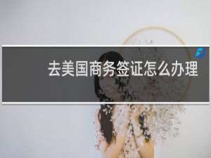 去美国商务签证怎么办理