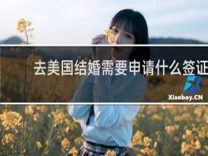 去美国结婚需要申请什么签证
