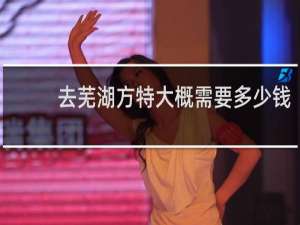 去芜湖方特大概需要多少钱