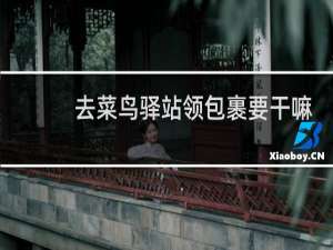 去菜鸟驿站领包裹要干嘛