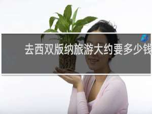 去西双版纳旅游大约要多少钱