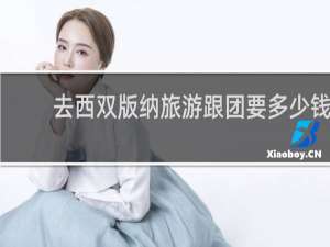 去西双版纳旅游跟团要多少钱