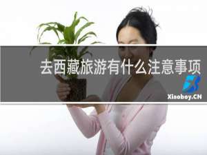 去西藏旅游有什么注意事项