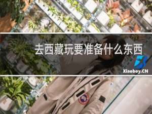去西藏玩要准备什么东西