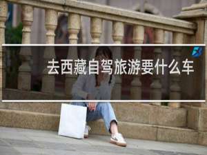去西藏自驾旅游要什么车