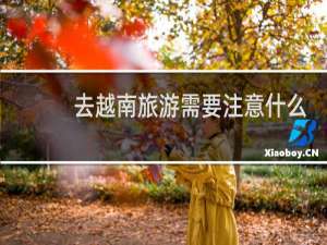 去越南旅游需要注意什么