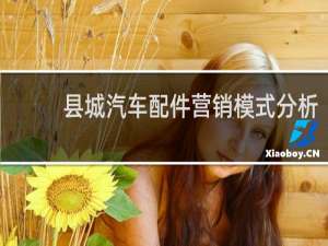 县城汽车配件营销模式分析