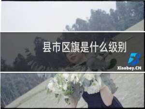 县市区旗是什么级别（县(市,区,旗)是什么意思）