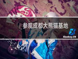 参观成都大熊猫基地
