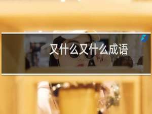 又什么又什么成语