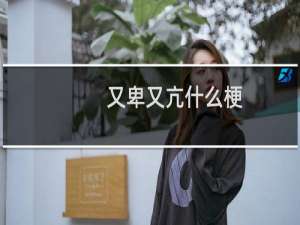 又卑又亢什么梗？什么梗