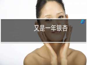 又是一年银杏