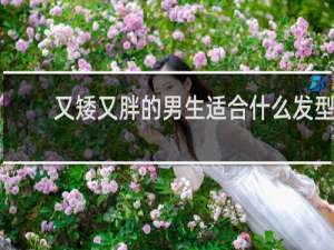 又矮又胖的男生适合什么发型
