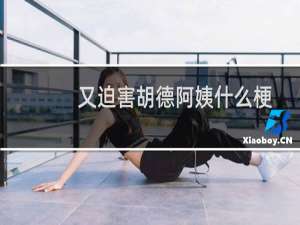 又迫害胡德阿姨什么梗