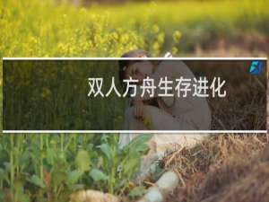 双人方舟生存进化