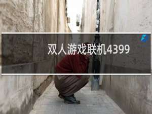 双人游戏联机4399