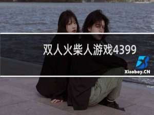 双人火柴人游戏4399