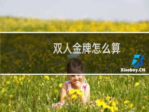 双人金牌怎么算