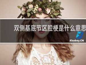 双侧基底节区腔梗是什么意思
