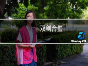 双剑合璧