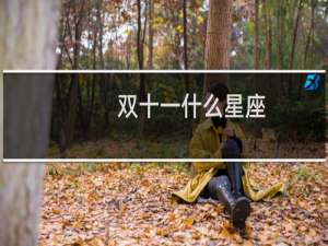双十一什么星座