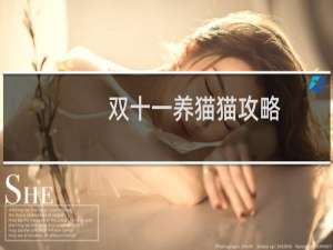 双十一养猫猫攻略