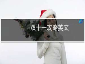 双十一攻略英文