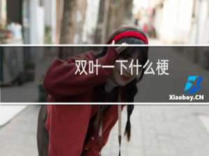 双叶一下什么梗？双叶一下是什么意思什么梗