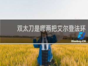 双太刀是哪两把艾尔登法环