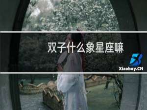 双子什么象星座嘛