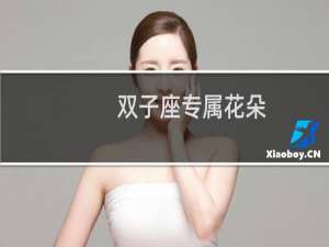双子座专属花朵