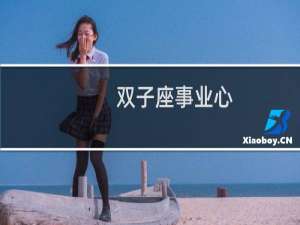 双子座事业心