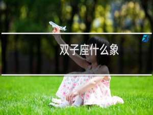 双子座什么象