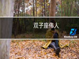 双子座伟人