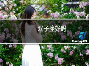 双子座好吗
