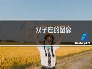 双子座的图像