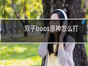双子boos原神怎么打