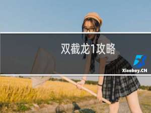双截龙1攻略