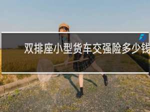 双排座小型货车交强险多少钱