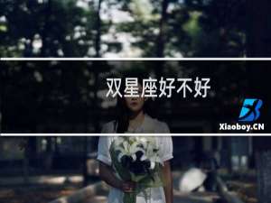双星座好不好