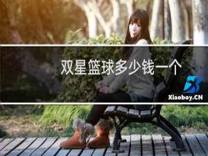 双星篮球多少钱一个