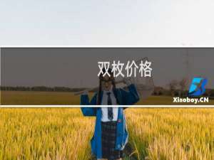 双枚价格