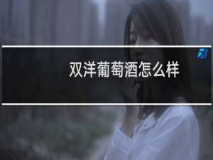 双洋葡萄酒怎么样