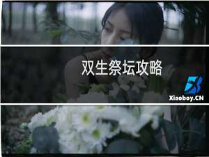 双生祭坛攻略